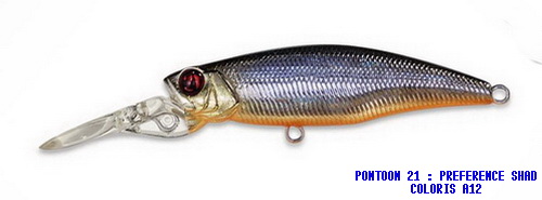 PREFERENCE SHAD 55F DR COLORIS A-12