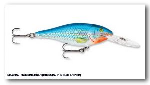 RAPALA SHAD RAP SR-09 HBSH 