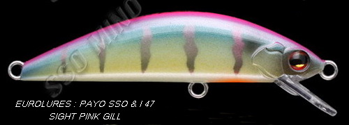 PAYO SSO &-I 47 SIGHT PINK GILL (TRIPLES BKK)