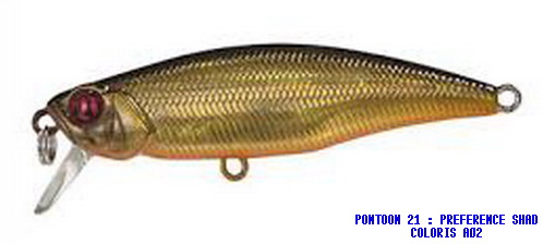 PREFERENCE SHAD 55F SR COLORI A-02