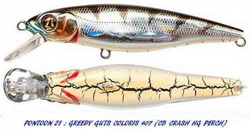 GREEDY GUTS 44SP-SR CB CRASH HG PERCH