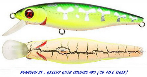 GREEDY GUTS 44F-MDR CB FIRE TIGER