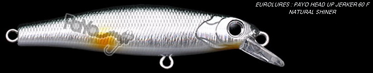 PAYO HEAD UP JERKER NATURAL SHINER