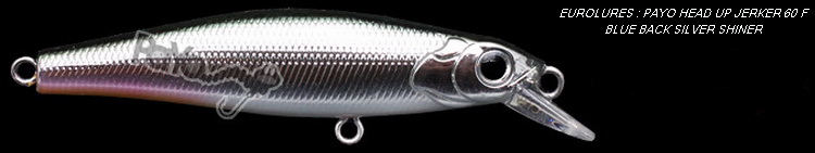 PAYO HEAD UP JERKER BLUE BACK SILVER SHINER