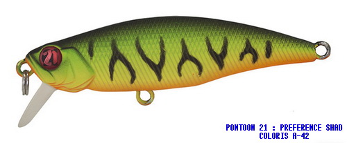 PREFERENCE SHAD 55F SR COLORI A-42