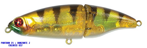 DANZANTE J 100S-LL 837 MI GOLD PERCH