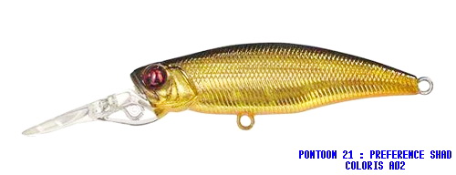 PREFERENCE SHAD 55SP DR COLORIS A-02