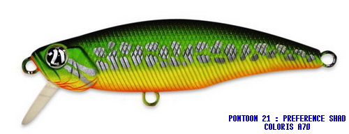 PREFERENCE SHAD 55SP SR COLORIS A-70