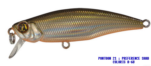 PREFERENCE SHAD 55SP SR COLORIS A-60